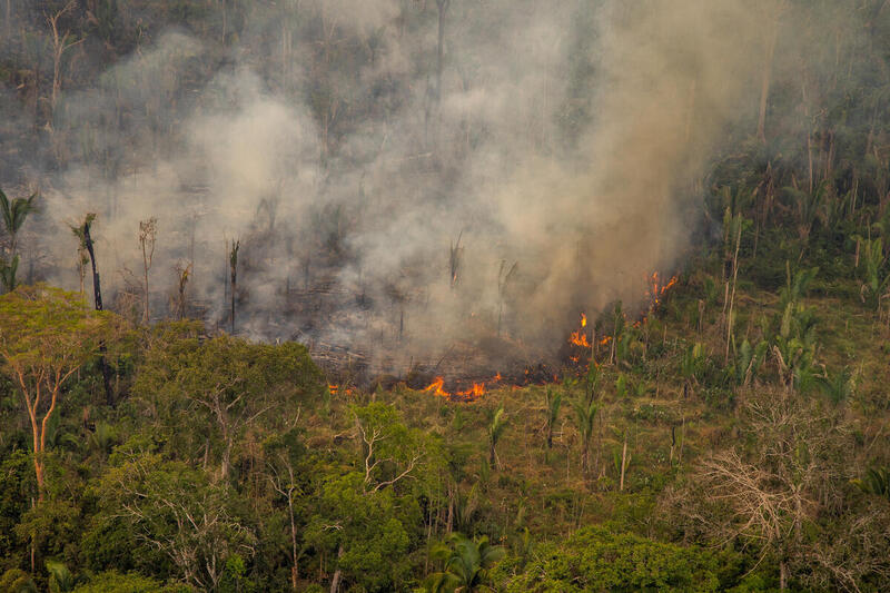 amazzonia incendi foresta deforestazione amazzonica