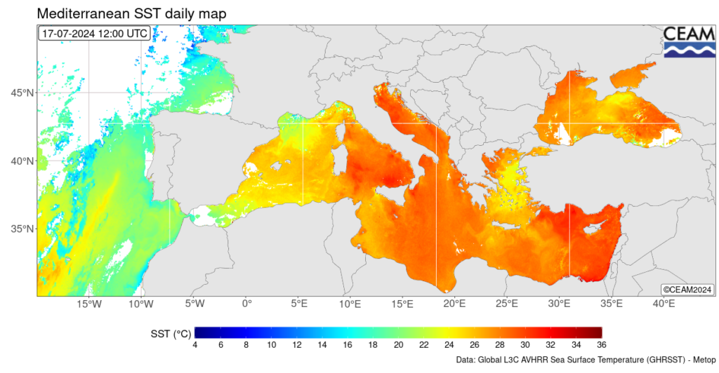 Mediterraneo caldo