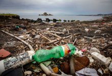 Greenpeace plastica mare