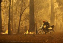 Australia incendi