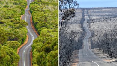 australia incendi clima meteo