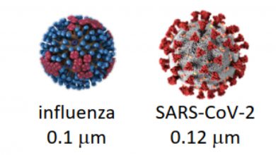 coronavirus aria