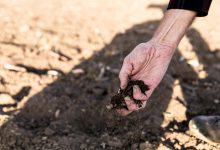 desertificazione e siccità