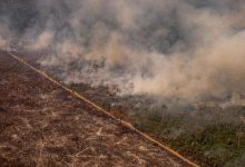 amazzonia incendi foresta deforestazione amazzonica