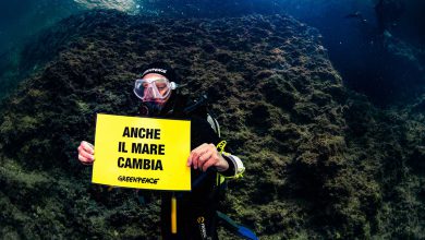 mare clima greenpeace