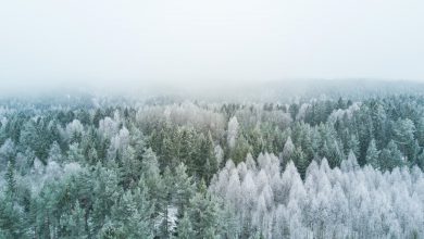 freddo previsioni meteo