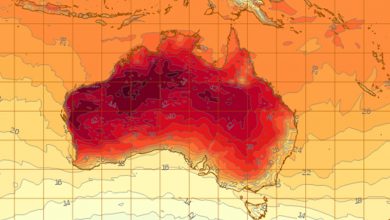 australia caldo