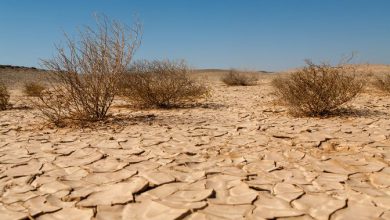 desertificazione e siccità