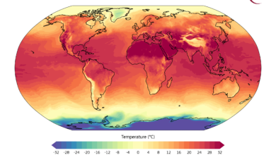 giorno più caldo pianeta terra clima