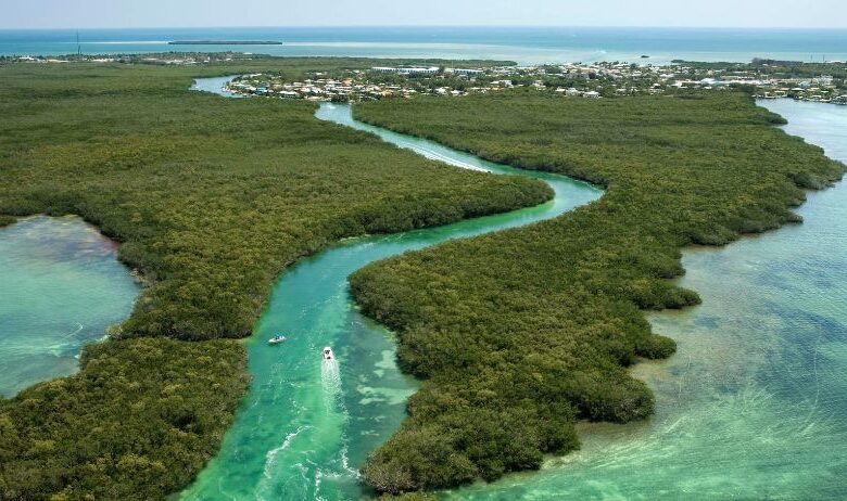 livello mare florida