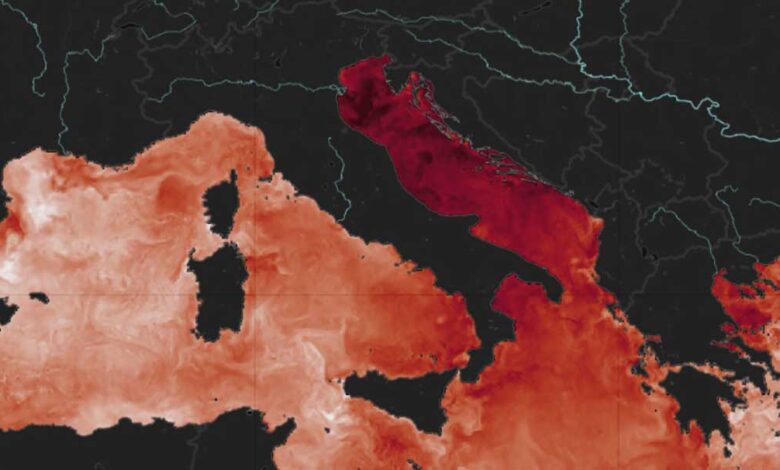 mediterraneo caldo luglio 2024