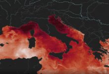 caldo record mare mediterraneo