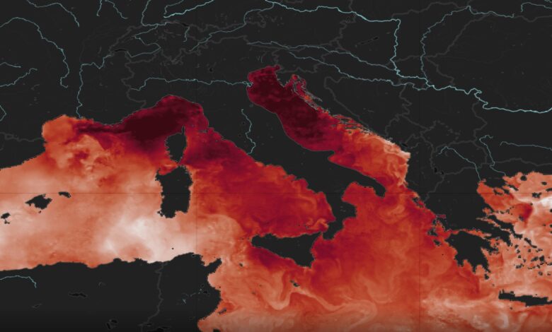 caldo record mare mediterraneo