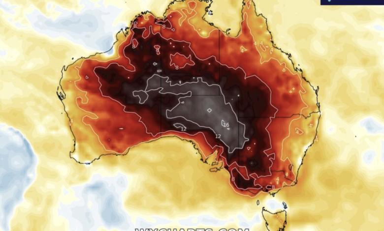 caldo australia