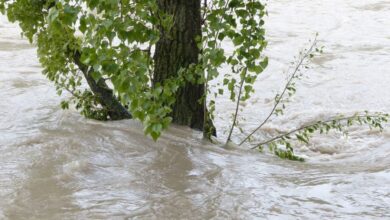 alluvione crisi climatica