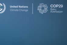 COP29