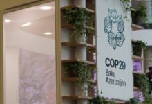 cop29