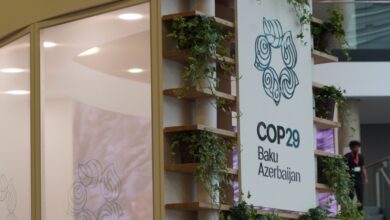 cop29