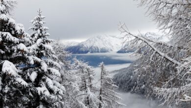 inverno meteo