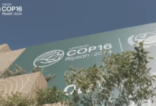 COP16