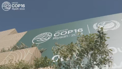 COP16