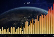 clima 2024 anno piu caldo