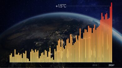 clima 2024 anno piu caldo