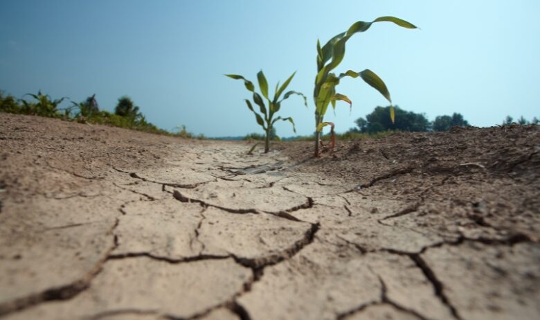 siccità migrazioni