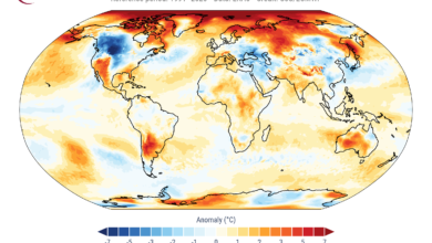 clima febbraio 2025