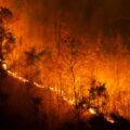 incendi